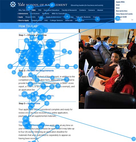 user experience myth