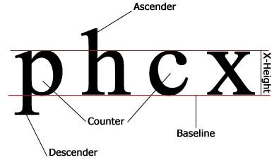 baseline grid