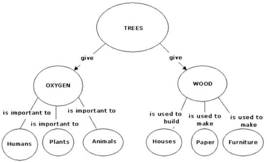hierarchy concept maps