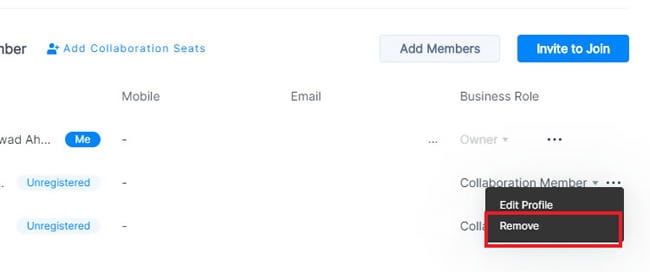 remove enterprise members
