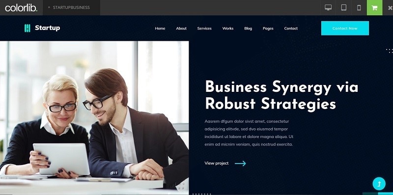 business website templates