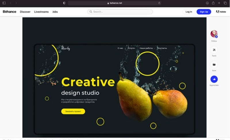 ui design behance