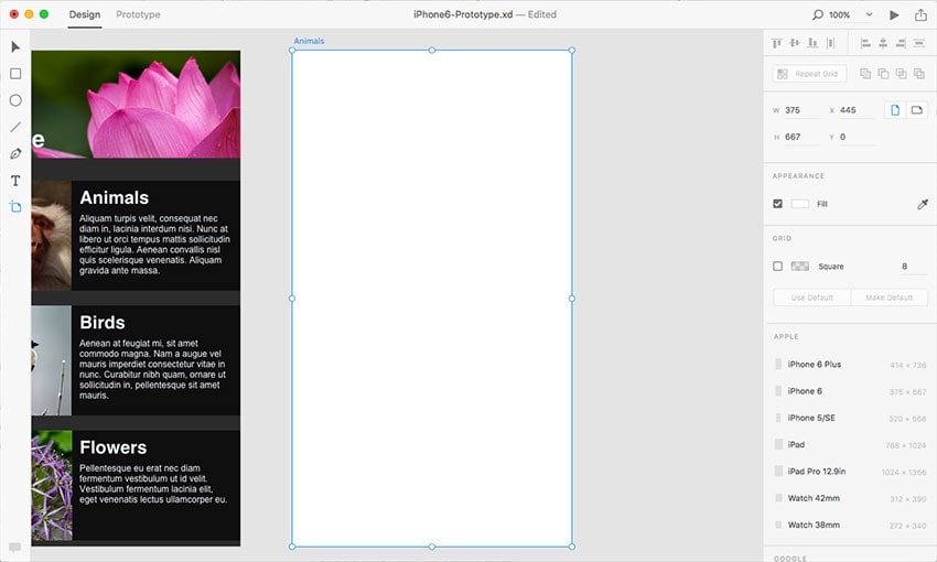 web design adobe xd