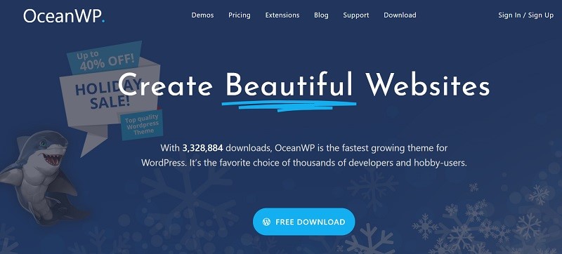 ecommerce website theme