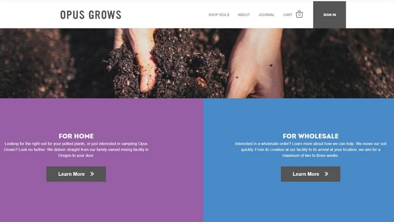 attractive website design