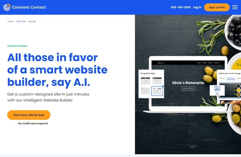 best website builder for small business
