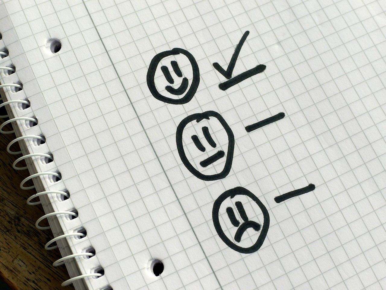 user survey