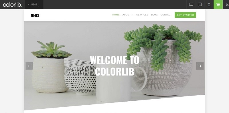 shopping website template