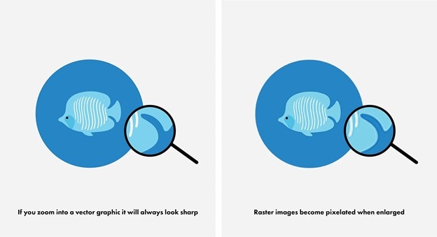 vector images