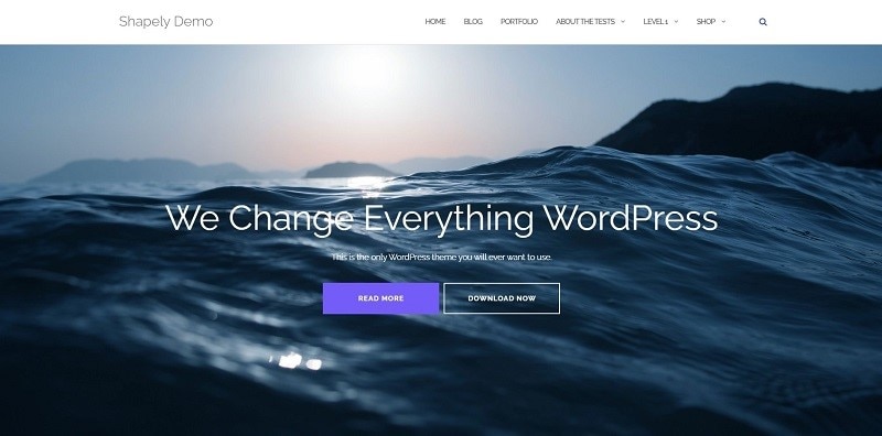 business website templates