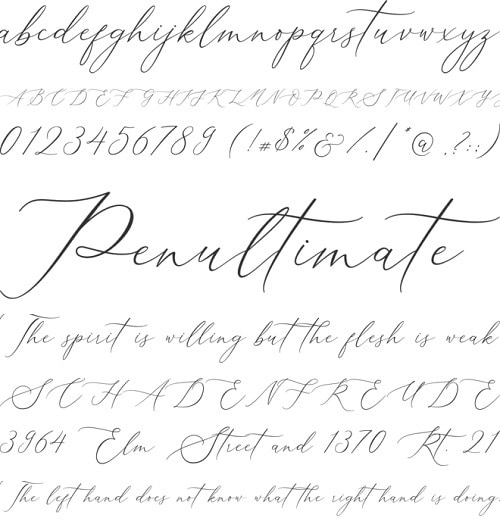 descender typography,