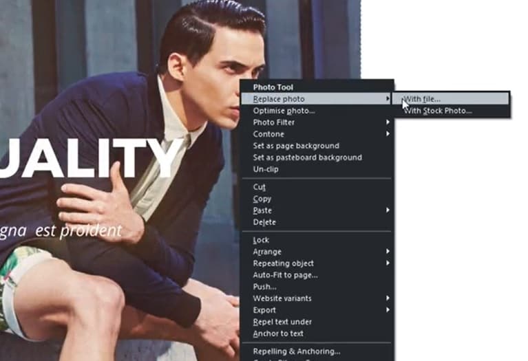 magix xara web designer