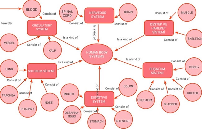 system concept maps