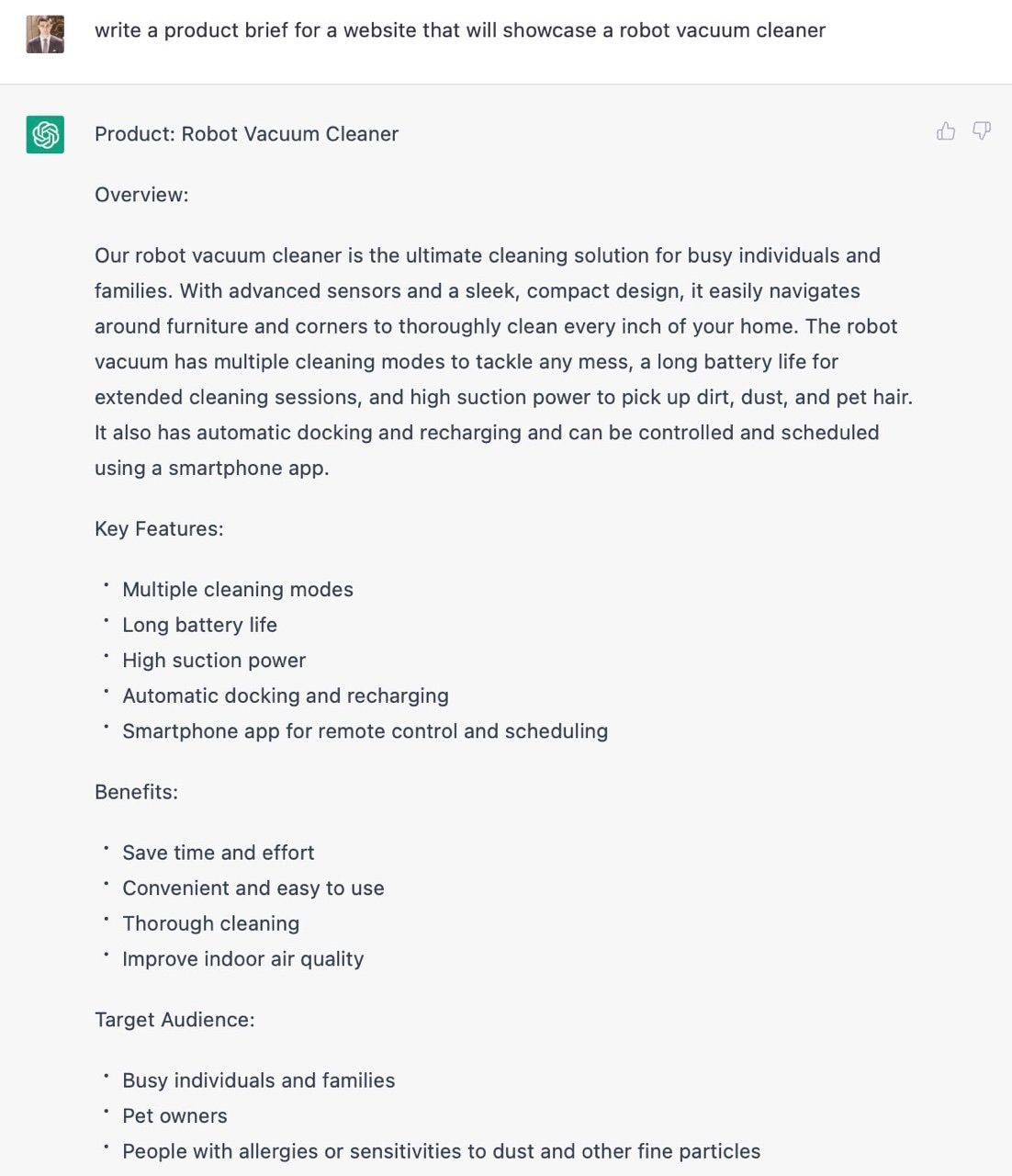 product brief generated by ChatGPT