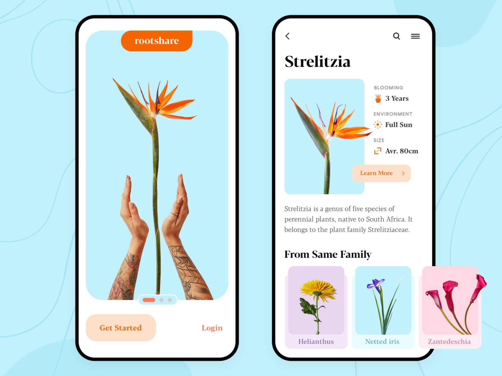 mobile interface
